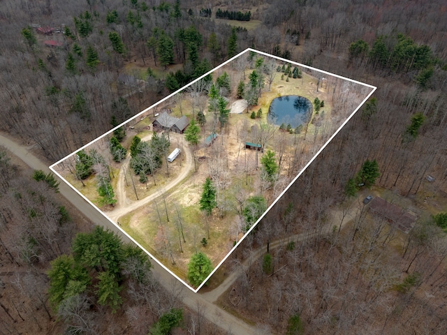4824 Little Cedar Creek Dr, Attica, MI 48412 - aerial view of property's location featuring property parcel outlined