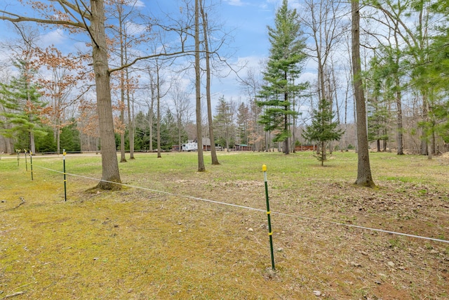 4824 Little Cedar Creek Dr, Attica, MI 48412 - view of yard