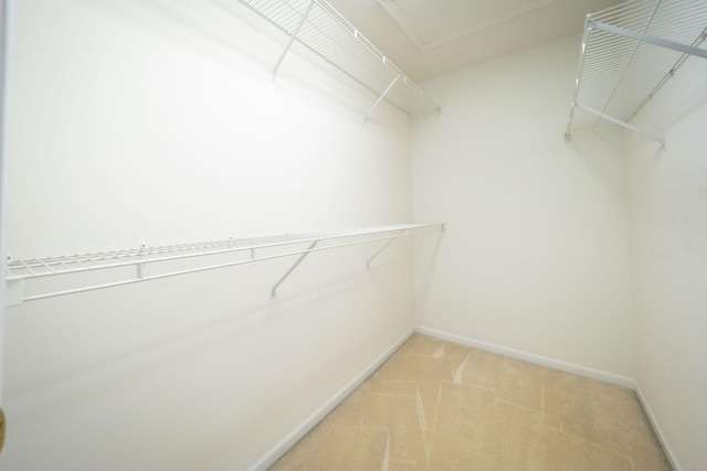 spacious closet featuring light colored carpet