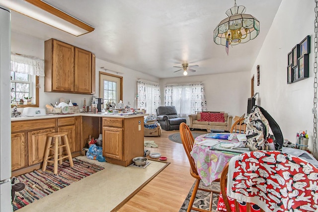 dining space featuring a healthy amount of sunlight, ceiling fan, and light wood finished floors