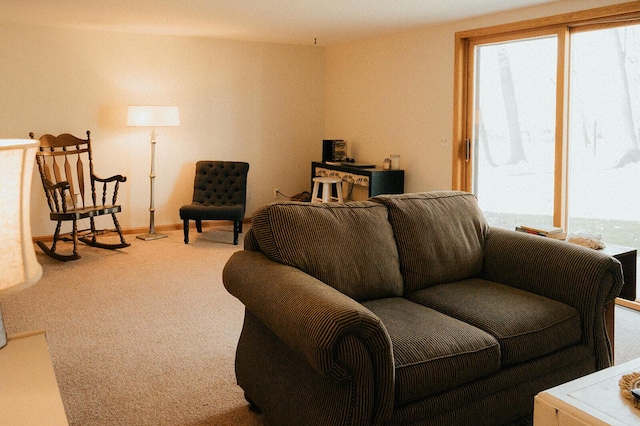 living area featuring carpet flooring and a wealth of natural light