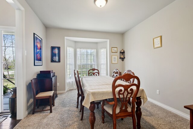 dining area featuring carpet flooring, baseboards, and a wealth of natural light