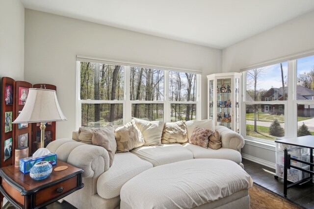 living area with baseboards, wood finished floors, and a wealth of natural light