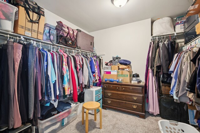 spacious closet with carpet flooring