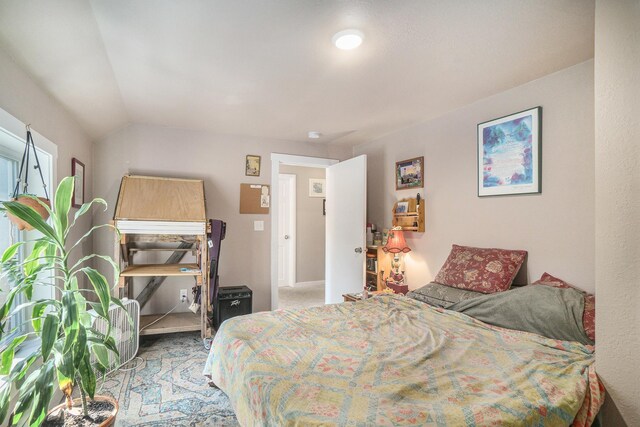 803 Forest Ave, Frankfort, MI 49635