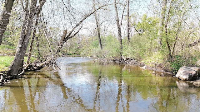 view of water feature