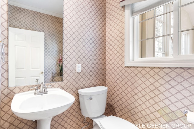 half bathroom featuring crown molding, wallpapered walls, toilet, and a sink