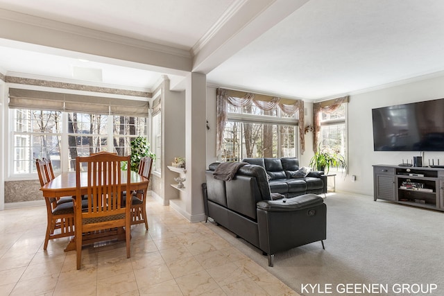 living room with baseboards, ornamental molding, and a healthy amount of sunlight