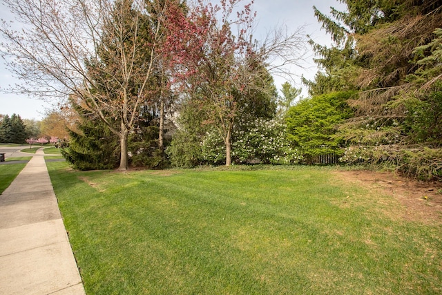 view of yard