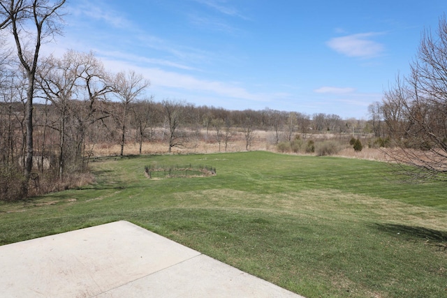 view of yard with a patio area