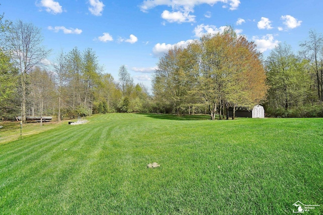view of yard with a storage shed and an outdoor structure