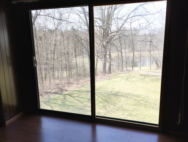 3100 Whipple Rd, Jackson, MI 49201 - entryway with baseboards, dark wood finished floors, a healthy amount of sunlight, and a wooded view