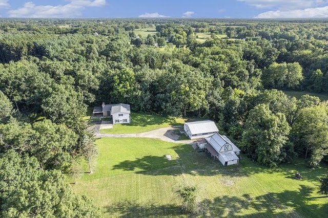 3100 Whipple Rd, Jackson, MI 49201 - bird's eye view featuring a view of trees