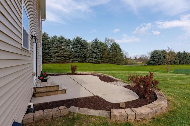 view of yard with a patio