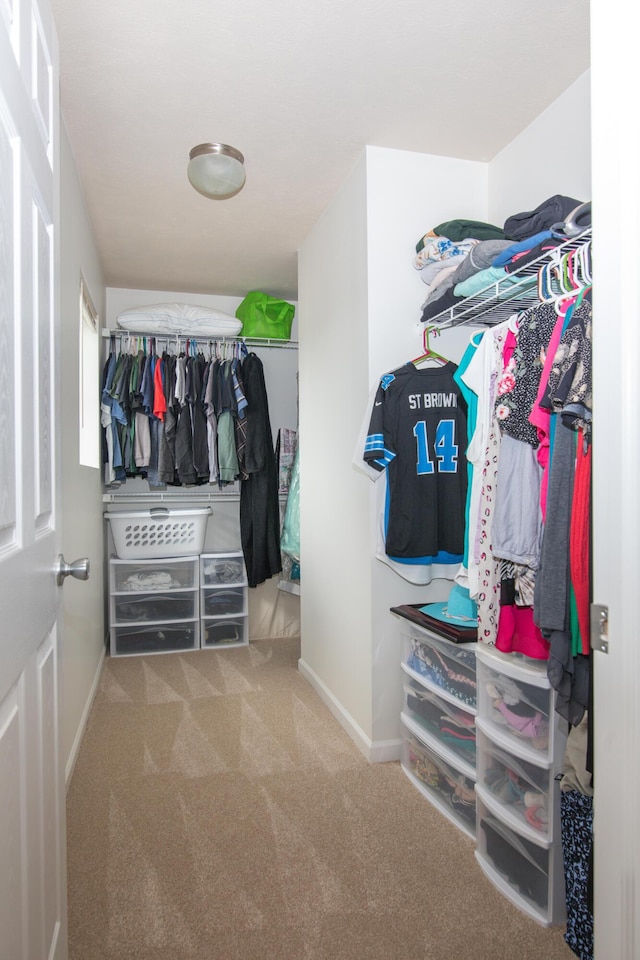 spacious closet featuring carpet