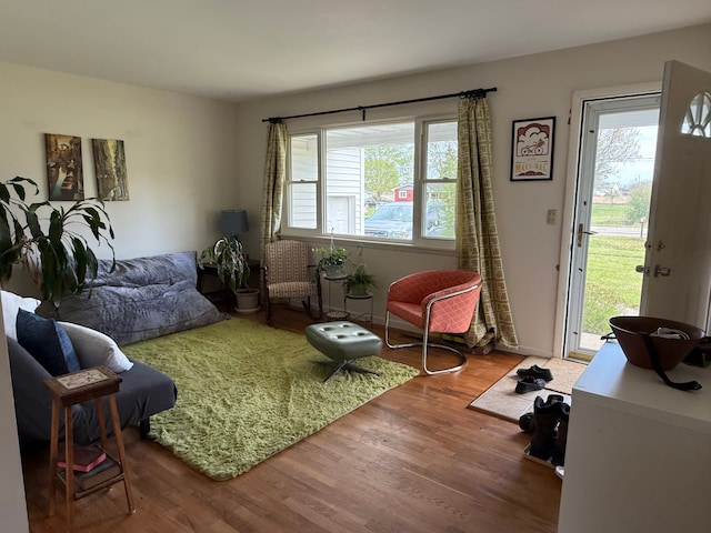 living room featuring a healthy amount of sunlight and wood finished floors