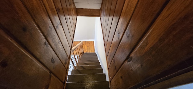 stairs featuring wood walls