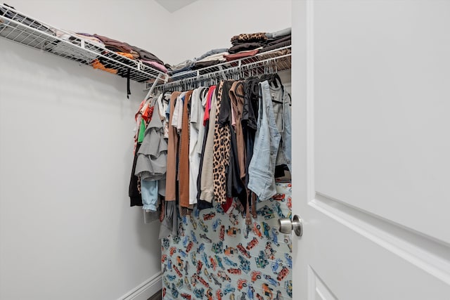 view of walk in closet