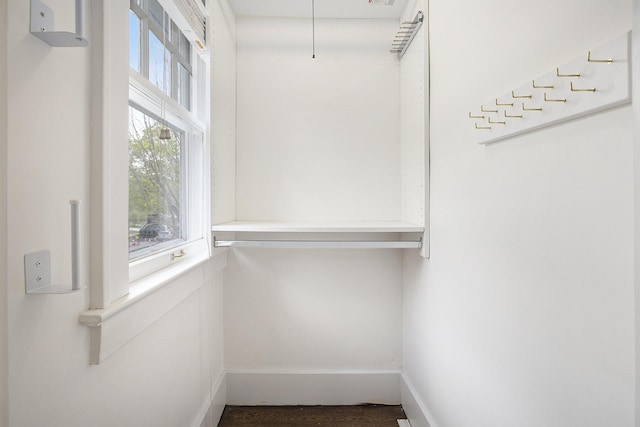 906 Granger Ave, Ann Arbor, MI 48104 - view of walk in closet