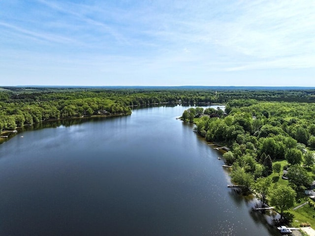 water view featuring a forest
