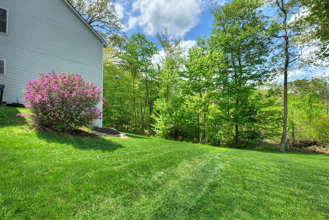 3088 Painted Dr, Howell, MI 48843 - view of grassy yard