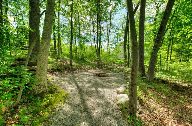 3088 Painted Dr, Howell, MI 48843 - view of local wilderness