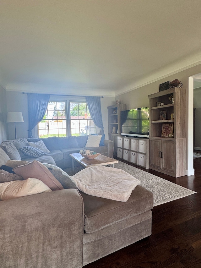 living area featuring ornamental molding and dark wood finished floors