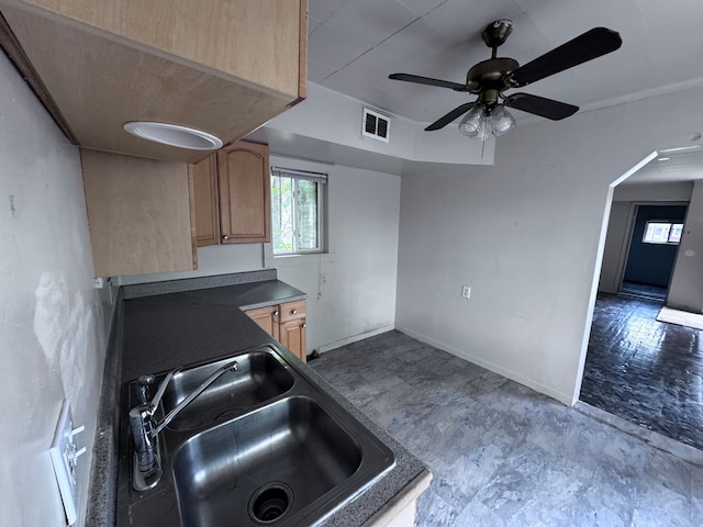 kitchen with visible vents, a sink, ceiling fan, and a wealth of natural light