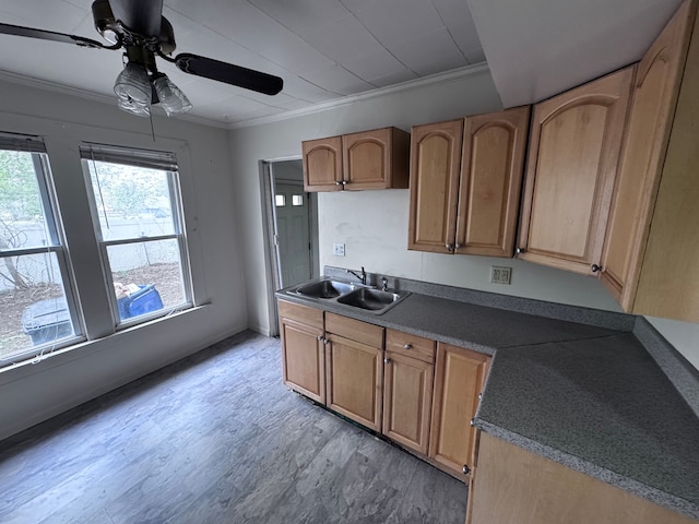 kitchen featuring light wood-style floors, a sink, a ceiling fan, and ornamental molding