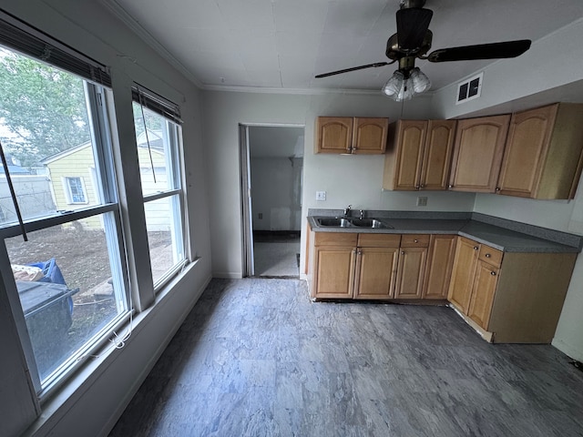 kitchen with visible vents, a ceiling fan, crown molding, baseboards, and a sink