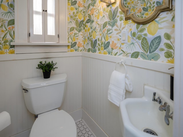 bathroom featuring a sink, wainscoting, and toilet