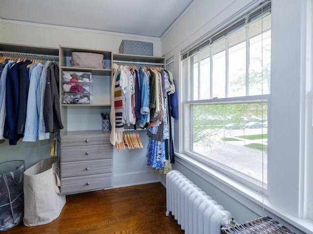 spacious closet with dark wood-style flooring and radiator heating unit