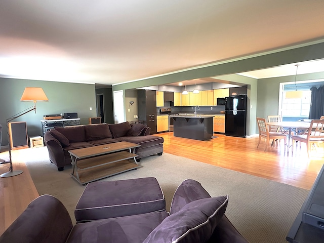 living room with light wood finished floors
