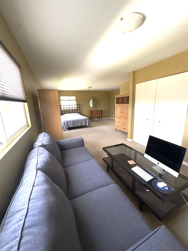 view of carpeted living area