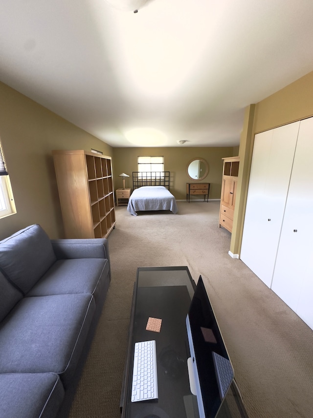 carpeted bedroom featuring a closet