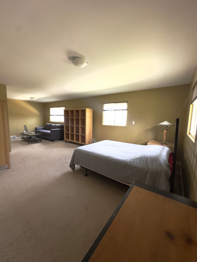 bedroom featuring carpet floors and multiple windows