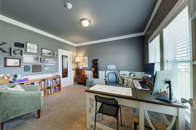 home office with crown molding and carpet floors