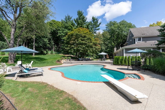 outdoor pool featuring a yard, a patio, and a diving board