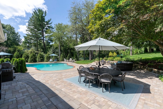 outdoor pool featuring a patio area and grilling area
