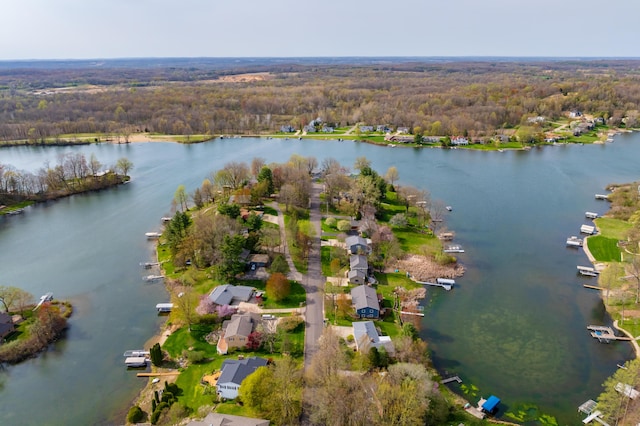 birds eye view of property featuring a water view and a wooded view