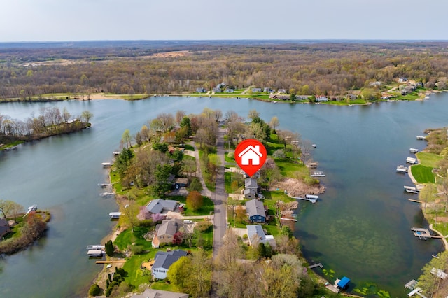 aerial view with a water view and a view of trees