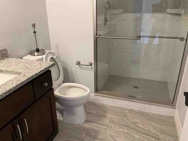 bathroom with vanity, a stall shower, and toilet
