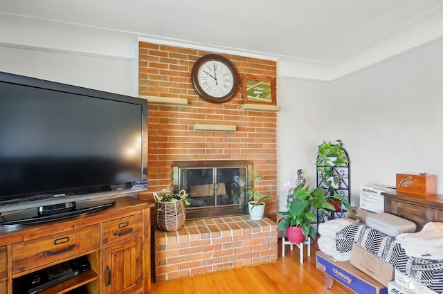 living room featuring a fireplace and light wood finished floors