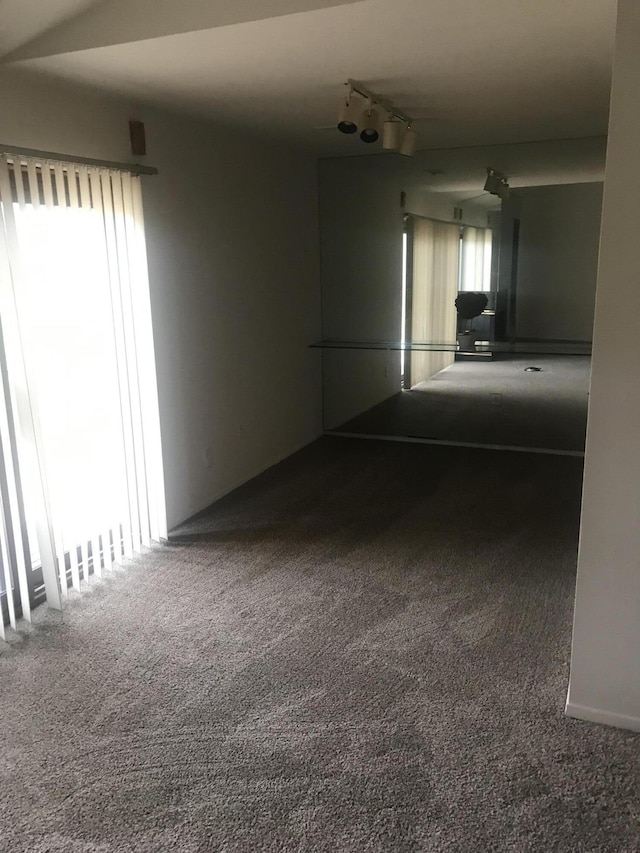 unfurnished room featuring carpet flooring and rail lighting