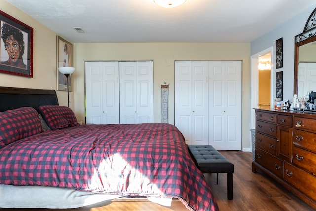 1533 Weatherstone Dr, Ann Arbor, MI 48108 - bedroom featuring dark wood-style flooring and two closets