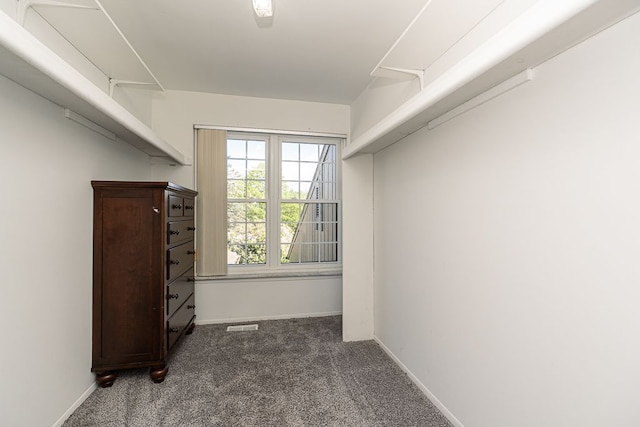 spacious closet featuring dark colored carpet and visible vents