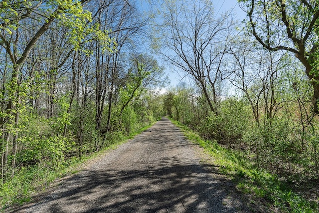 view of road featuring a view of trees