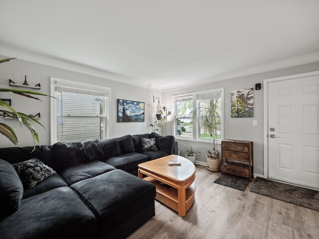 living area with crown molding, baseboards, and wood finished floors