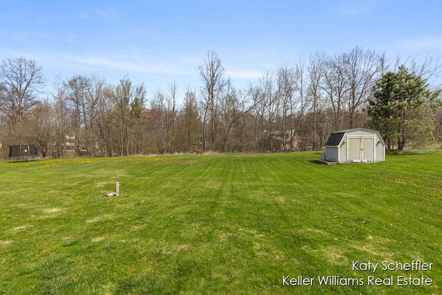 view of yard with a trampoline, an outdoor structure, and a shed