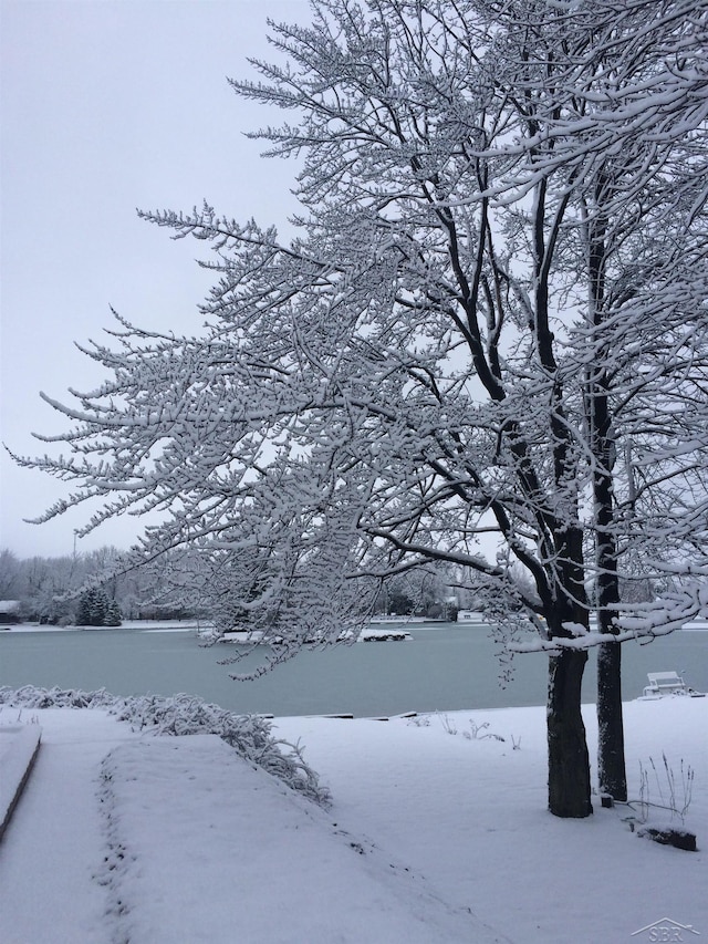 view of yard layered in snow